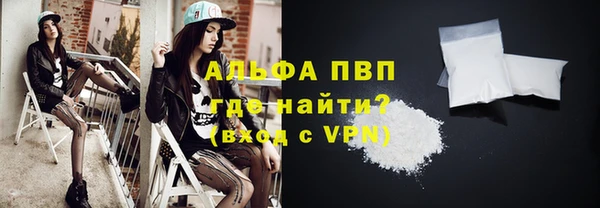 ПСИЛОЦИБИНОВЫЕ ГРИБЫ Дмитров