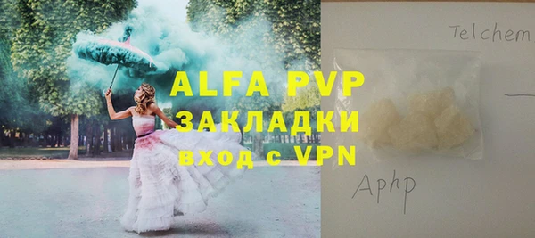ПСИЛОЦИБИНОВЫЕ ГРИБЫ Дмитров