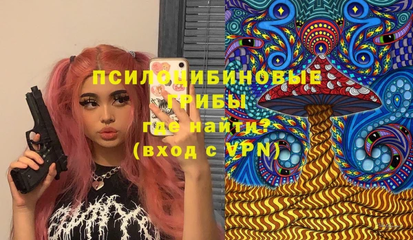 синтетический гашиш Дмитровск